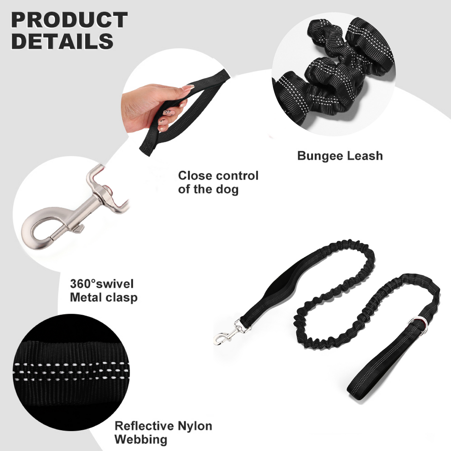 Bungee Leash
