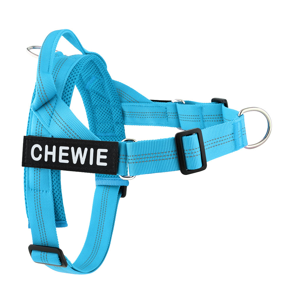 Personalised Dog Harness with Name Tag Be My Paw – BEMYPAW